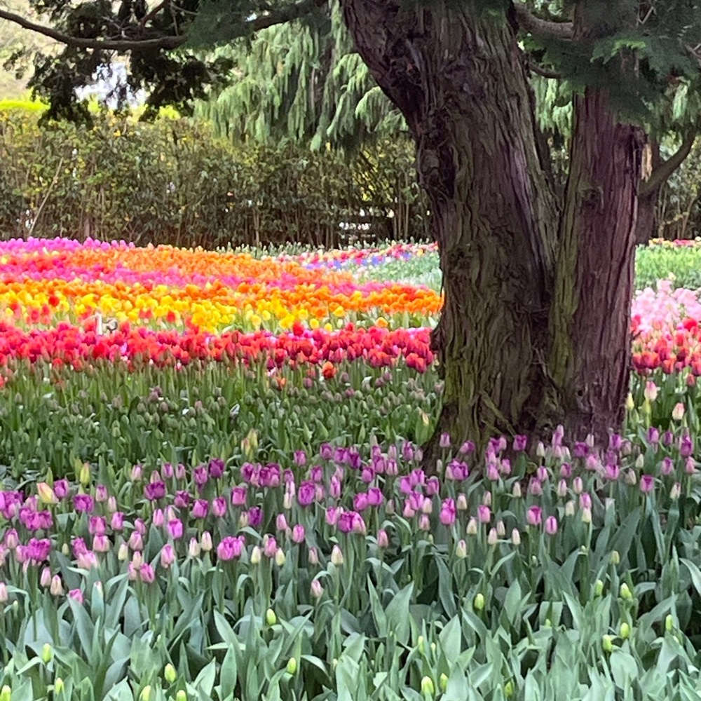 Meet your Posher, Kyrsten